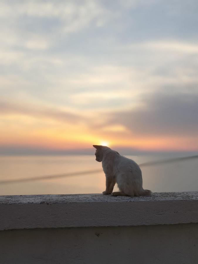 La Locanda Del Convento トロペーア エクステリア 写真