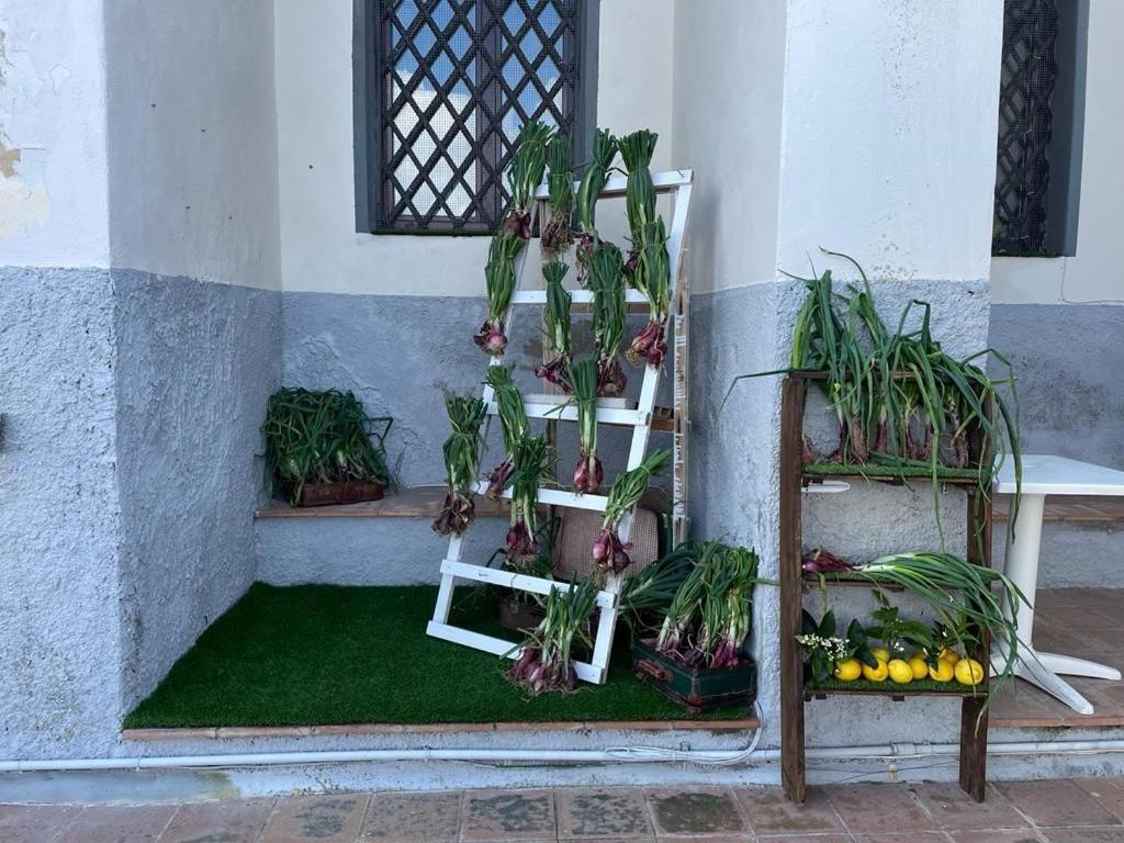 La Locanda Del Convento トロペーア エクステリア 写真